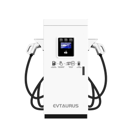 80kW 180kW 240kW DC Estación de carga comercial rápida EV con pistola única CCS2 para uso comercial