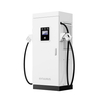 Estación de carga rápida de EV de 120kW con pistola doble CCS2 y para proyecto comercial